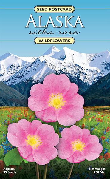 Arctic Wild Rose Petals - Alaska Wild Herbs