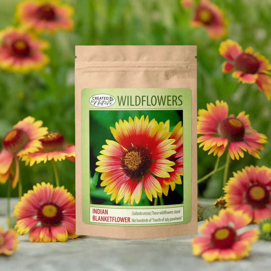 Indian Blanket Flower Seeds