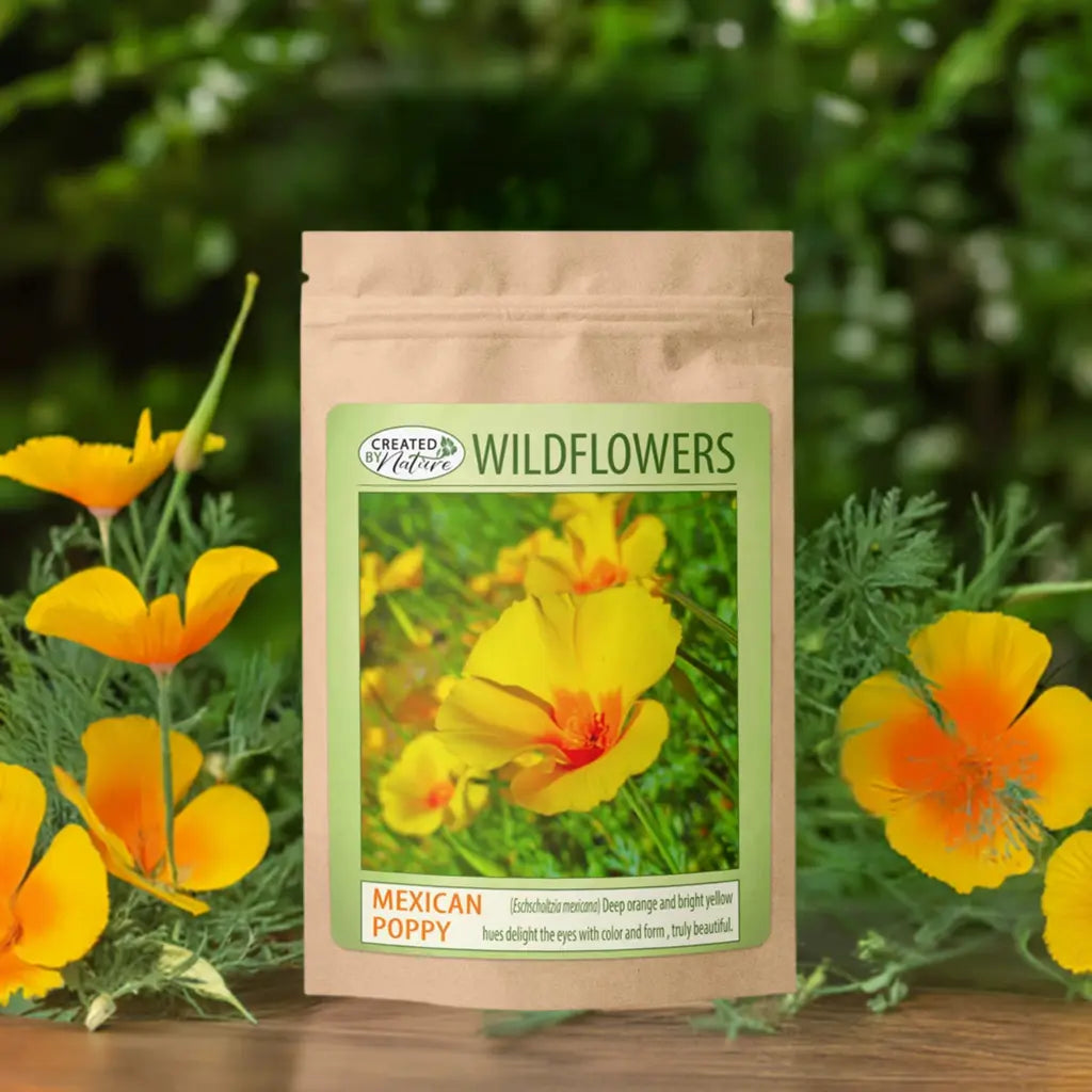 Mexican Poppy Seeds