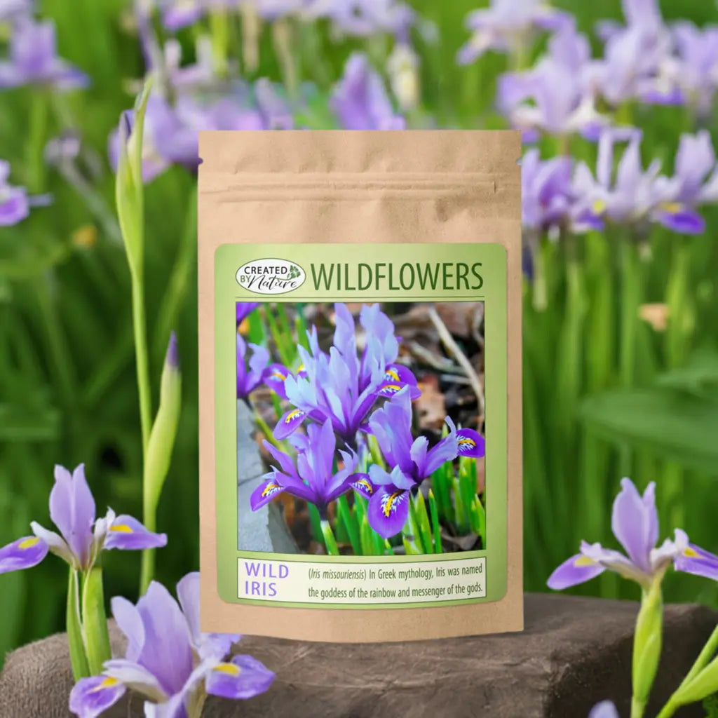 wild iris