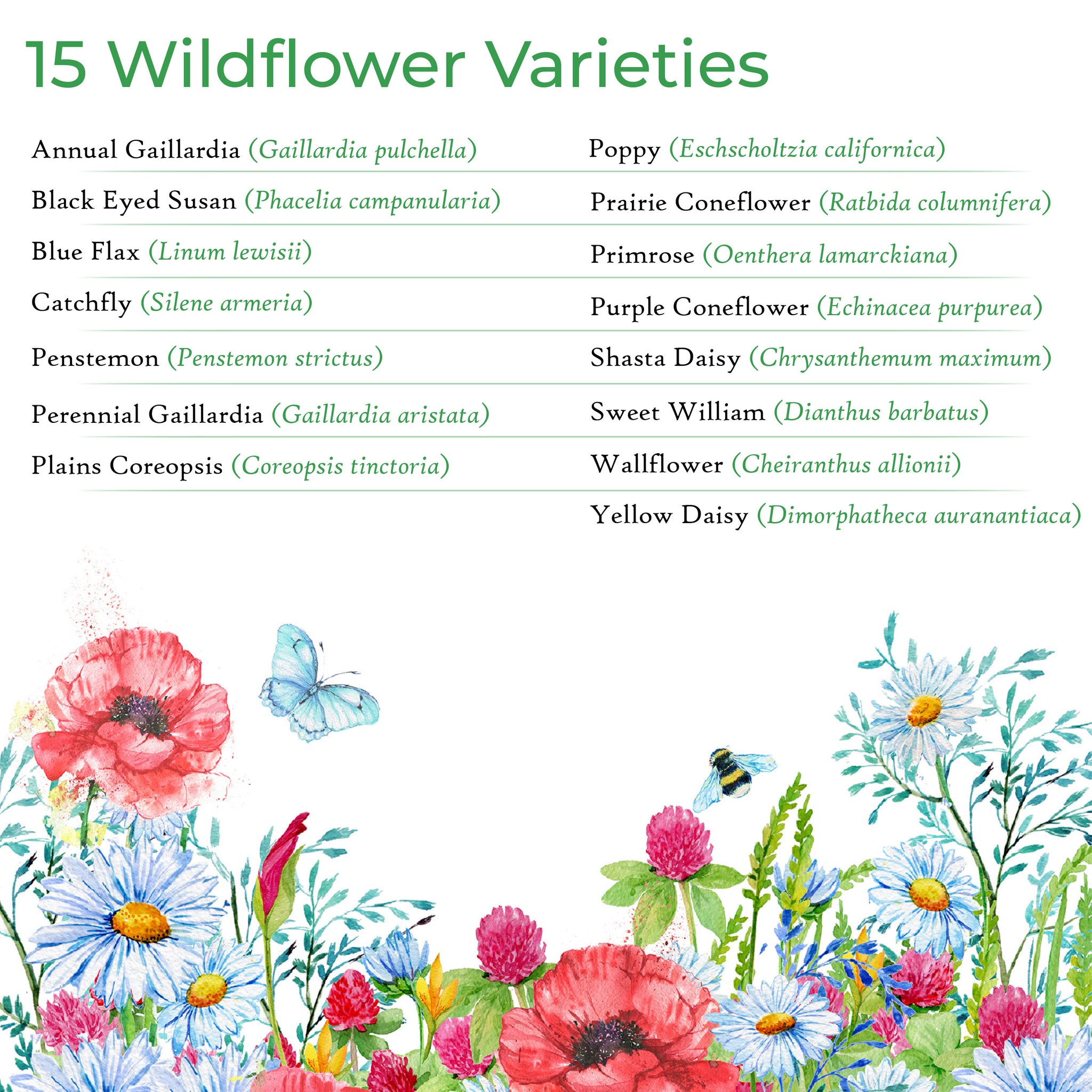 drought resistant wildflower seed varieties