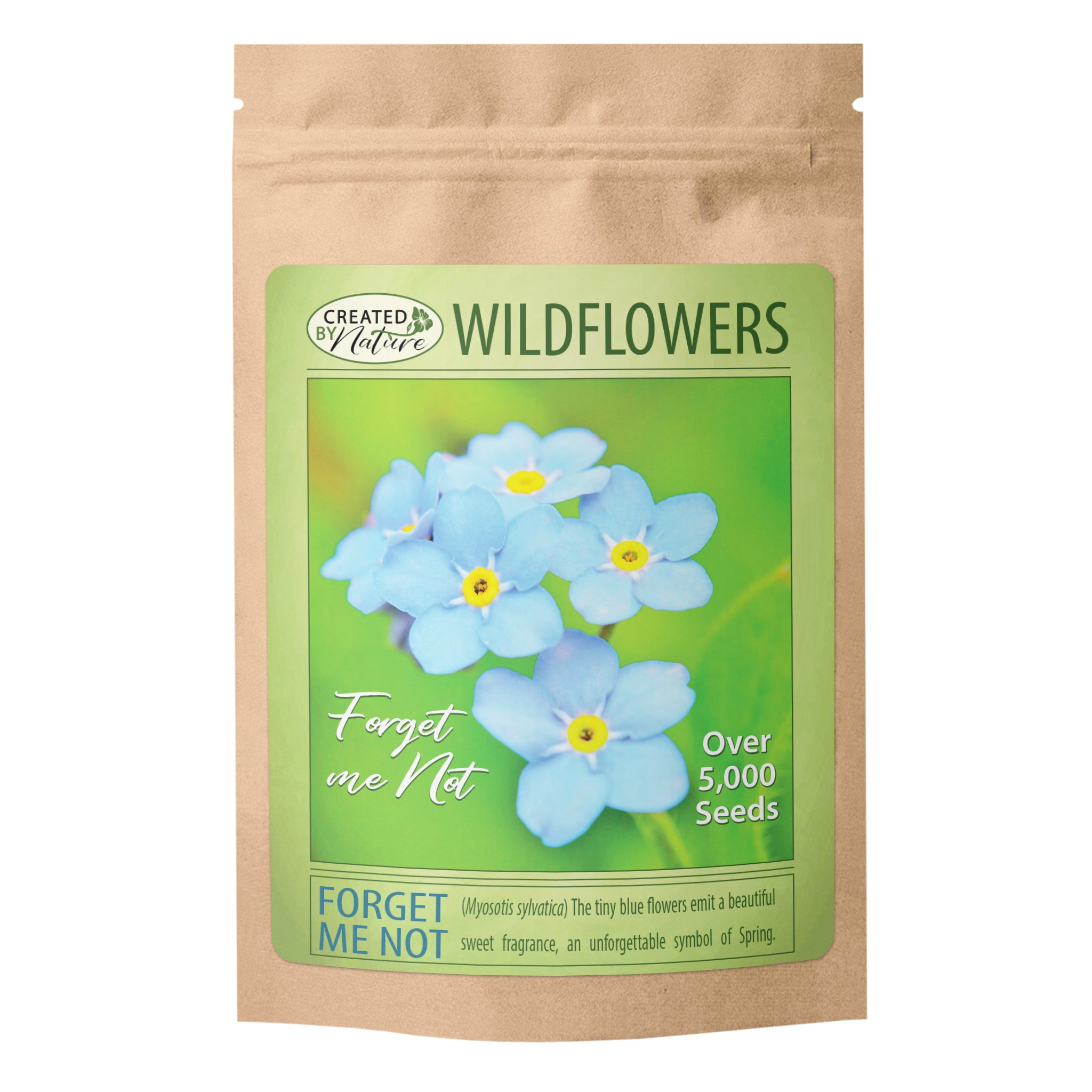 Where to Buy Flowers - Forget-Me-Not seeds 