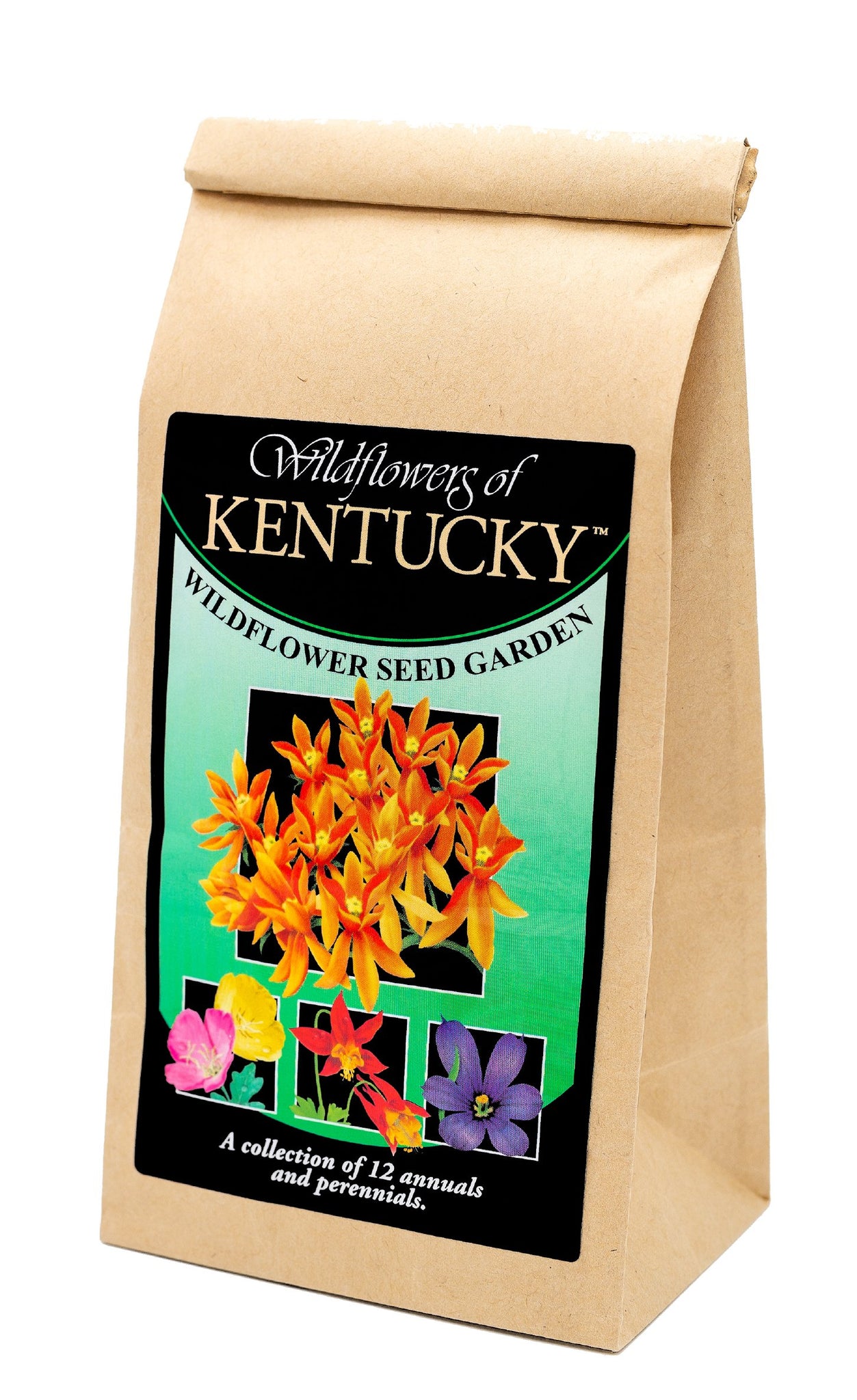 Kentucky Wildflower Seed Mix